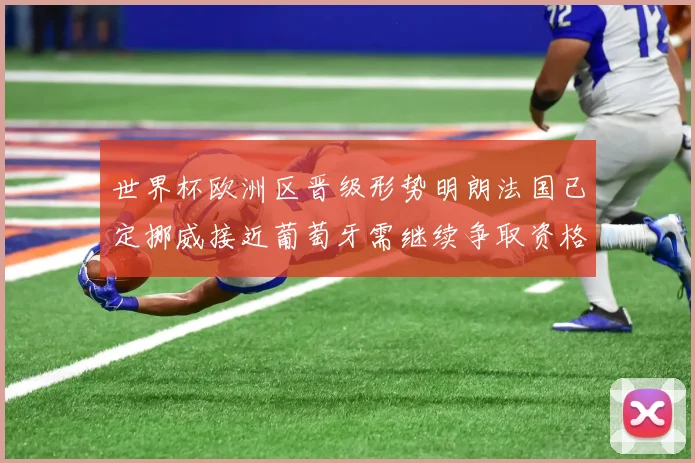 世界杯欧洲区晋级形势明朗法国已定挪威接近葡萄牙需继续争取资格