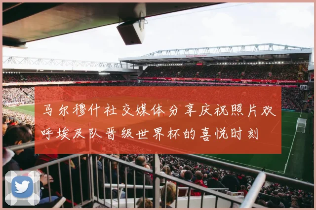 马尔穆什社交媒体分享庆祝照片欢呼埃及队晋级世界杯的喜悦时刻
